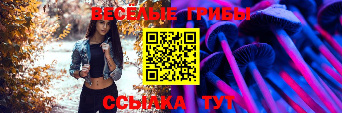 Белебей  Галлюциногенные грибы Cubensis  Вход с VPN 